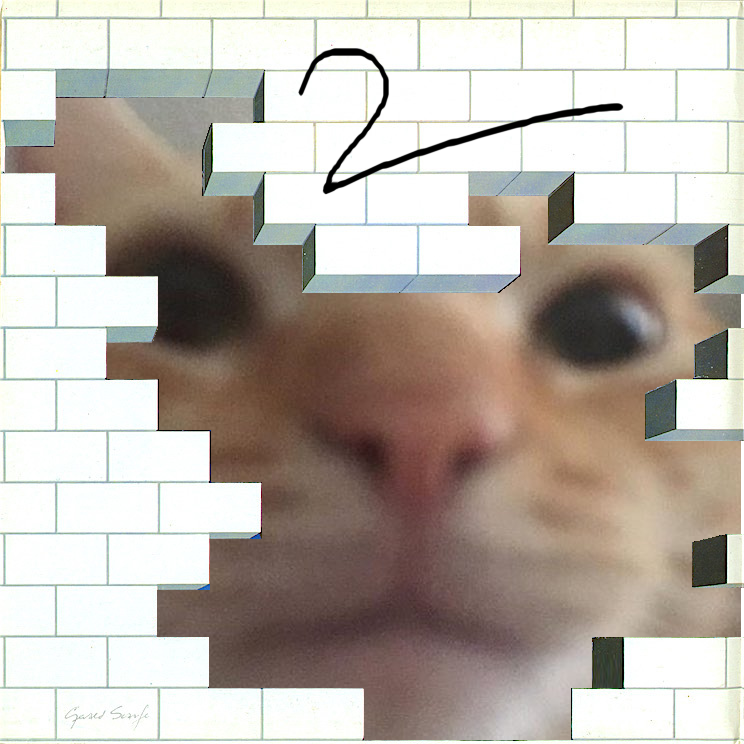 Gusic 2